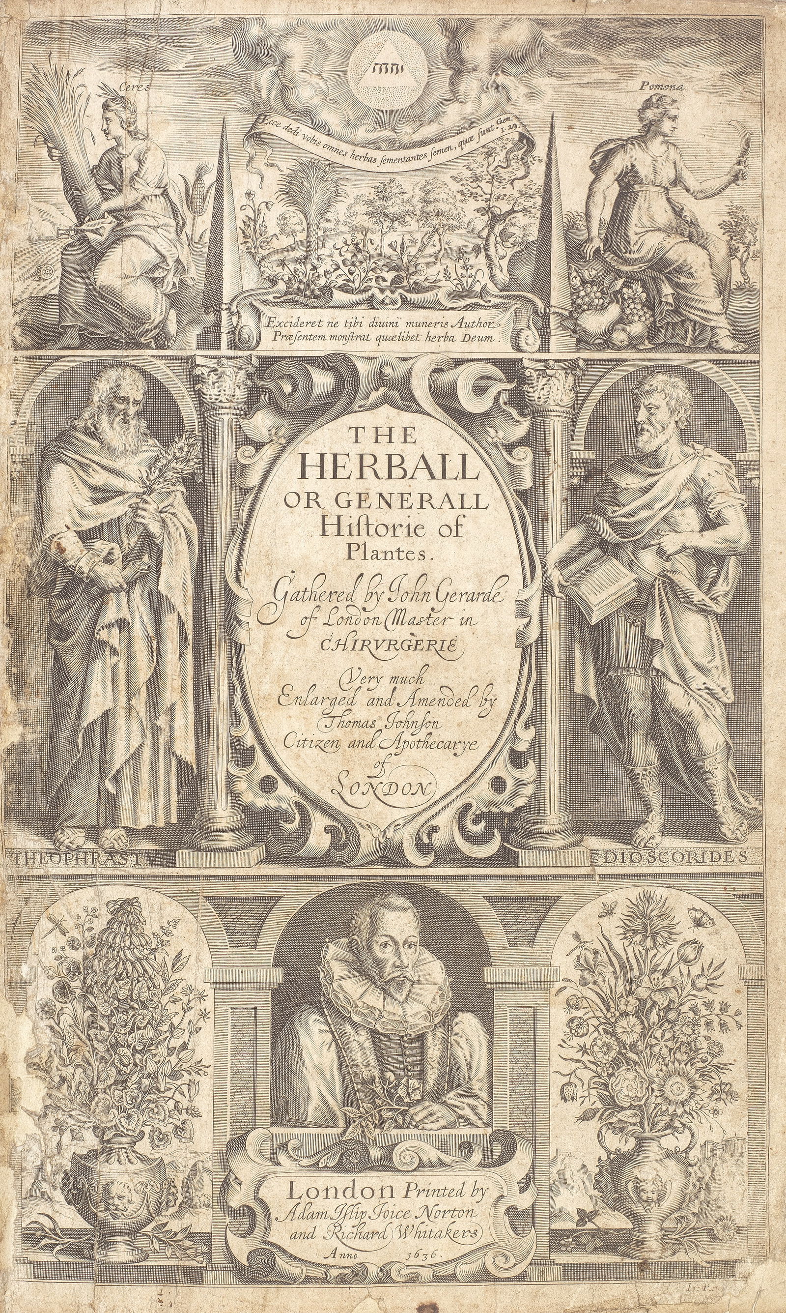 GERARD (JOHN) The Herball or Generall Historie of Plantes... Very Much Amended by Thomas Johnson...: GERARD (JOHN) The Herball or Generall Historie of Plantes... Very Much Amended by Thomas Johnson, second edition, engraved pictorial title incorporating a portrait of the author, upwards of 2800 wood