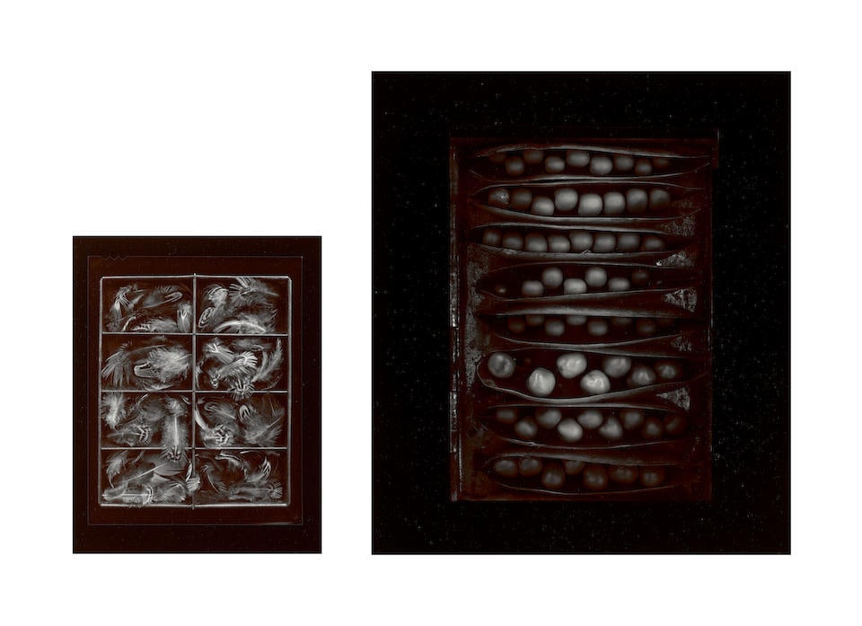 Olivia Parker (born 1941); Selected Images; (1 of 3)