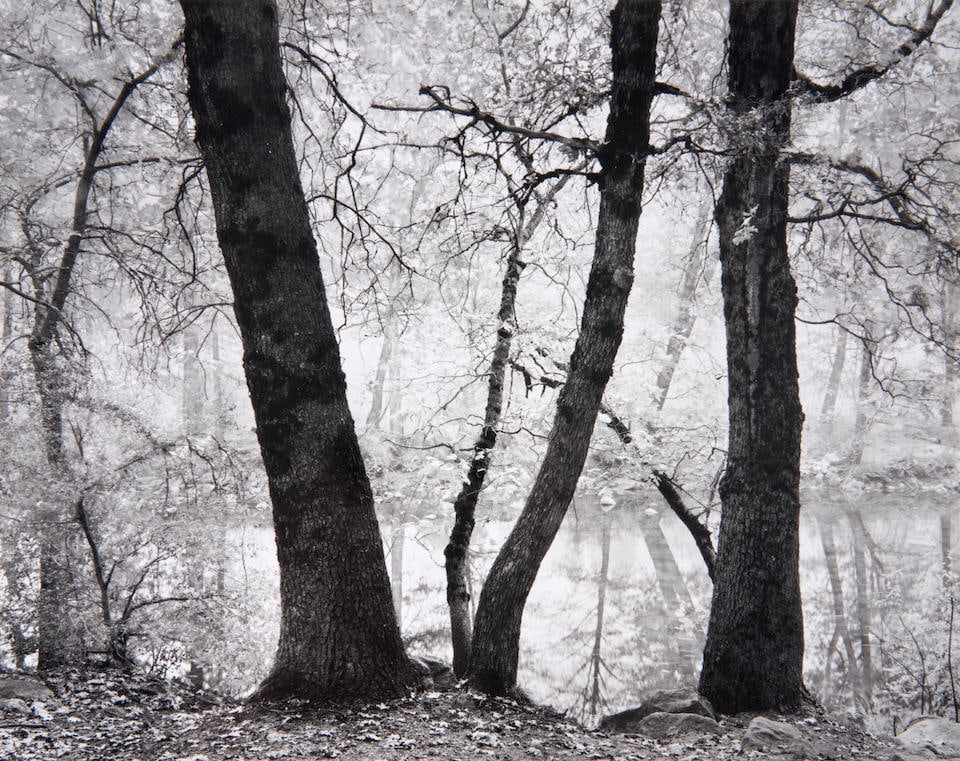 RAY MCSAVANEY (1938-2014) ALONG THE MERCED RIVER, YOSEMITE VALLEY, CALIFORNIA 1989 (1 of 3)