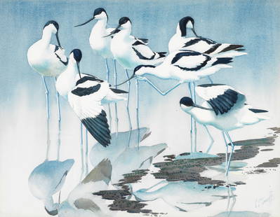 Charles Frederick Tunnicliffe O.B.E., R.A. (British, 1901-1979) Seven Avocets: Charles Frederick Tunnicliffe O.B.E., R.A. (British, 1901-1979) Seven Avocets signed 'C.F. Tunnicliffe' (lower right) watercolour and pencil on paper 46.5 x 60cm (18 5/16 x 23 5/8in). Footnotes: