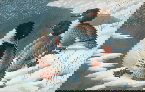 Charles Frederick Tunnicliffe O.B.E., R.A. (British, 1901-1979) Goosanders Ashore: Charles Frederick Tunnicliffe O.B.E., R.A. (British, 1901-1979) Goosanders Ashore signed 'C.F. Tunnicliffe' (lower right) watercolour and pencil on paper 41.5 x 64.5cm (16 5/16 x 25 3/8in). Footnote