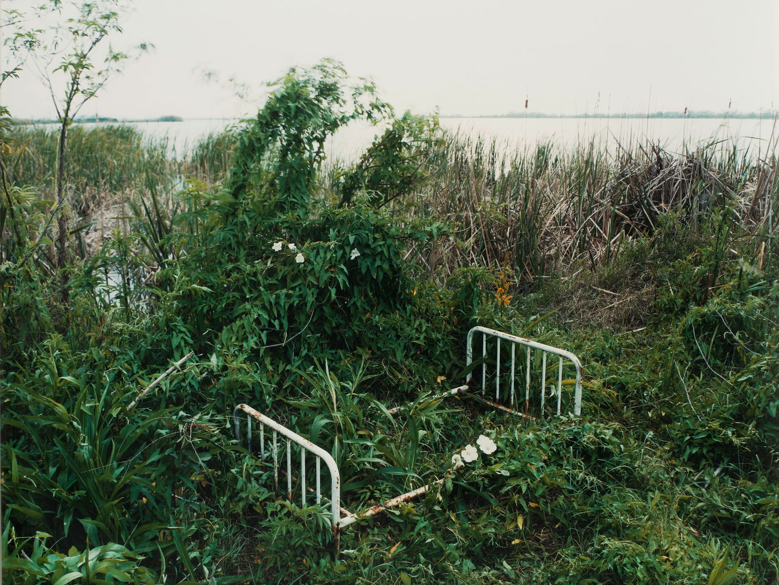 Alec Soth (born 1969); Venice, Louisiana (from 'Sleeping by the Mississippi');: Alec Soth (born 1969) Venice, Louisiana (from 'Sleeping by the Mississippi'), 2002 Chromogenic print; flush-mounted to acrylic, the photographer's studio label, signed, titled, dated '2004' and number