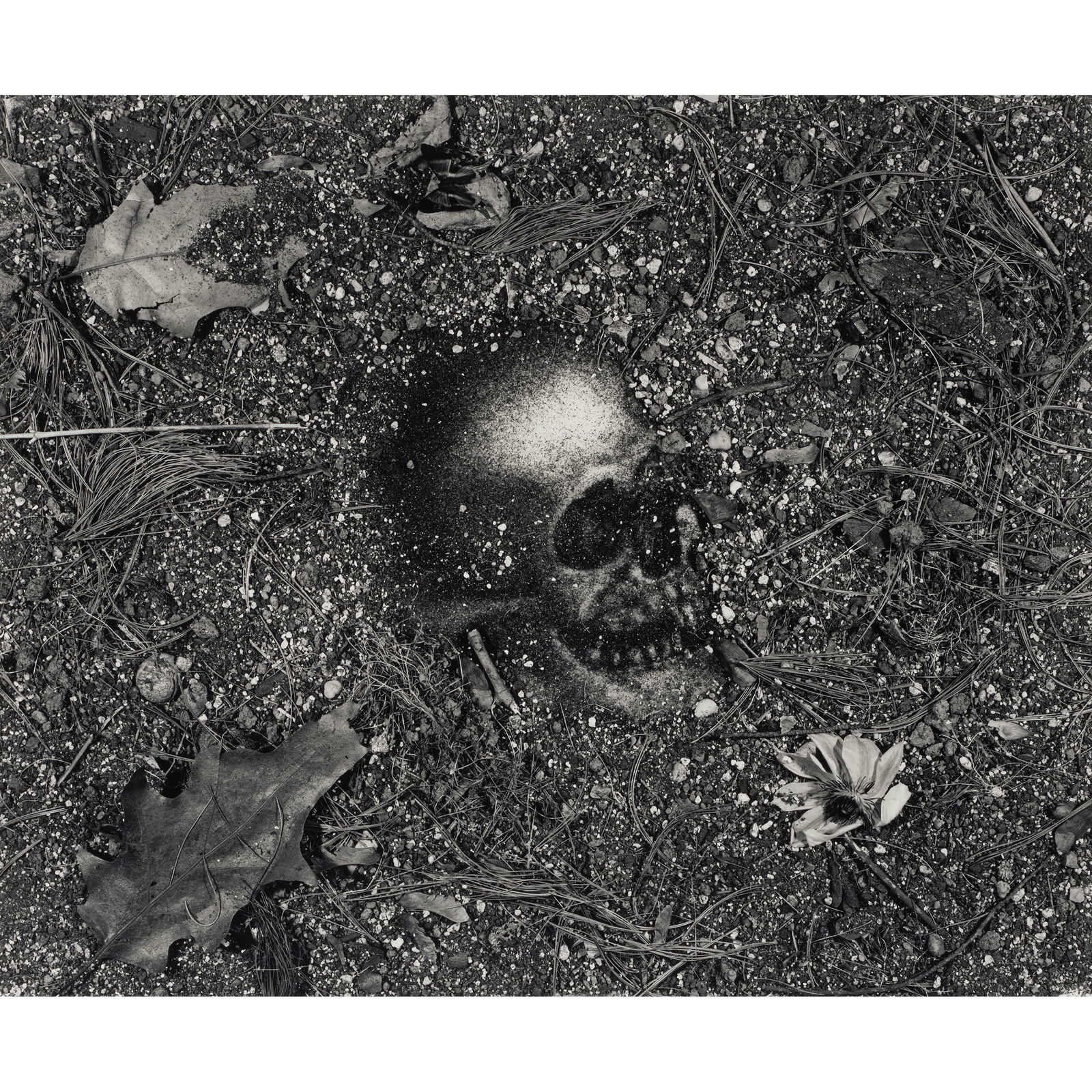 Vik Muniz (born 1961); ''Vanitas' (Pictures of Soil)';: Vik Muniz (born 1961) ''Vanitas' (Pictures of Soil)', 1998 Gelatin silver print; signed, titled, dated, and numbered '4/10' in pencil on the reverse, framed. 18 3/8 x 22 1/4 in. (46.7 x 56.5 cm.) Foo