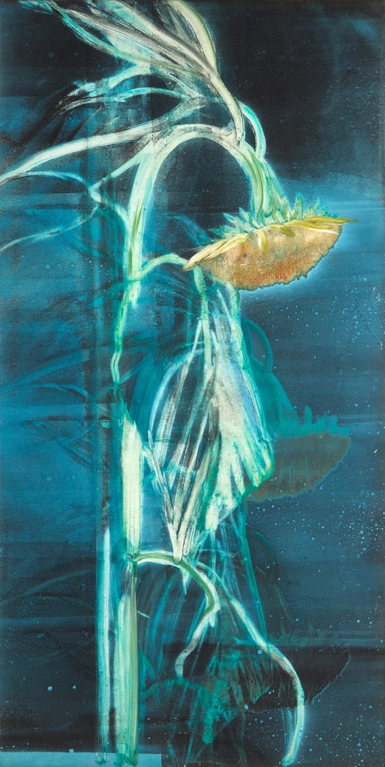 Michael Mazur (American, 1935-2009); Night Sunflower II;: Michael Mazur (American, 1935-2009) Night Sunflower II, 1990 Color monotype on paper; unsigned; framed. 47 1/4 x 23 3/4 in. (120.1 x 60.4 cm) sheet 47 3/4 x 23 3/4 in. (121.4 x 60.4 cm) Footnotes: Pro