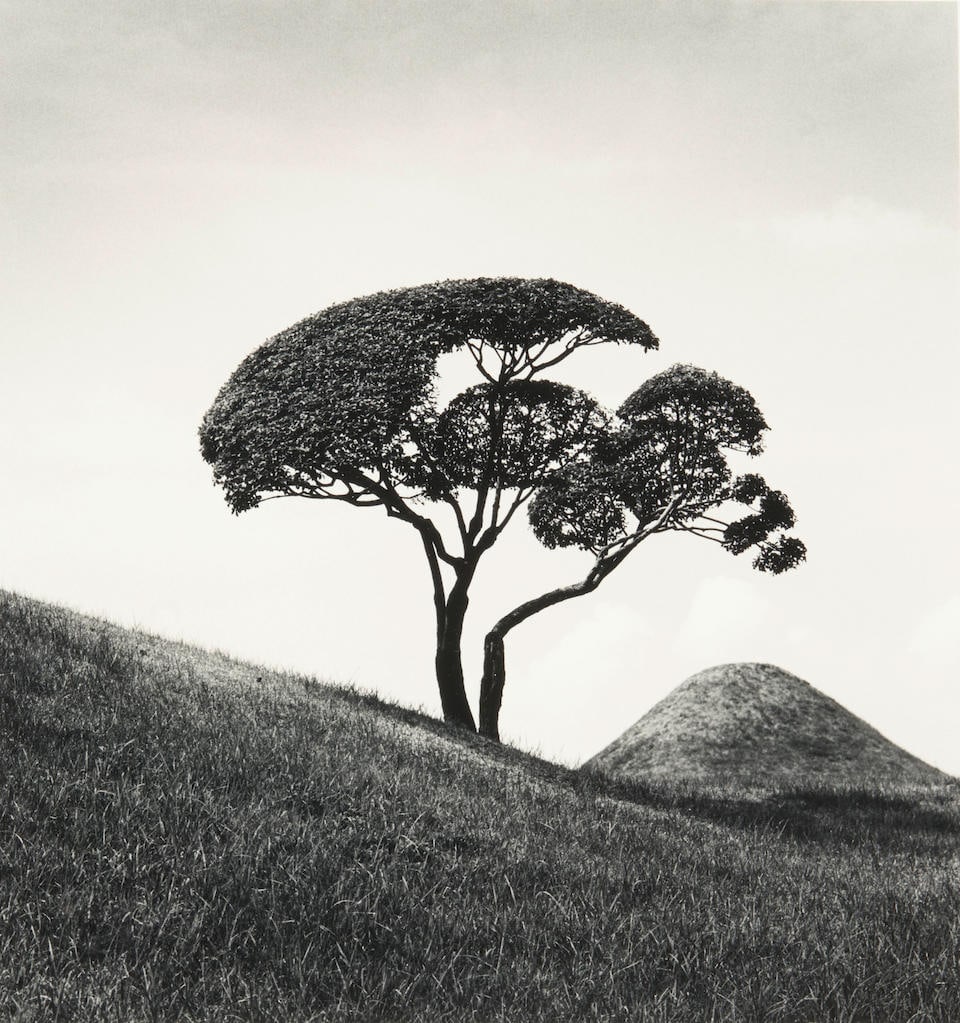 Michael Kenna (born 1953); Tree and Mountain, Suizenji, Joju-en Garden, Japan;: Michael Kenna (born 1953) Tree and Mountain, Suizenji, Joju-en Garden, Japan, 2002 Gelatin silver print; numbered and signed '21/45...Michael Kenna 2002' in pencil on the mount, further identified on