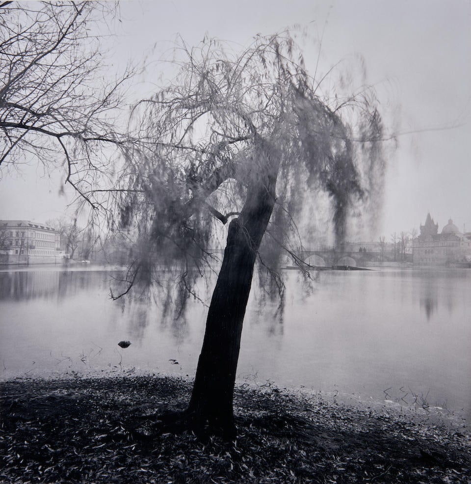Michael Kenna (born 1953); Moving Tree, Prague, Czechoslovakia;: Michael Kenna (born 1953) Moving Tree, Prague, Czechoslovakia, 1992 Gelatin silver print, printed 1994; numbered and signed '11/45...Michael Kenna 1992' in pencil on the mount and stamped in ink, titl