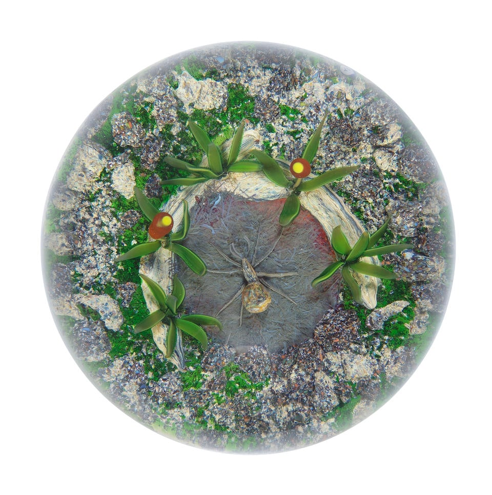 A Delmo Tarsitano spider magnum paperweight from the 'Earthlife' series, circa 1985: A Delmo Tarsitano spider magnum paperweight from the 'Earthlife' series, circa 1985 The naturalistic grey spider with an orange threaded abdomen, sprawling at the centre of a dichroic 'sunset' nest en