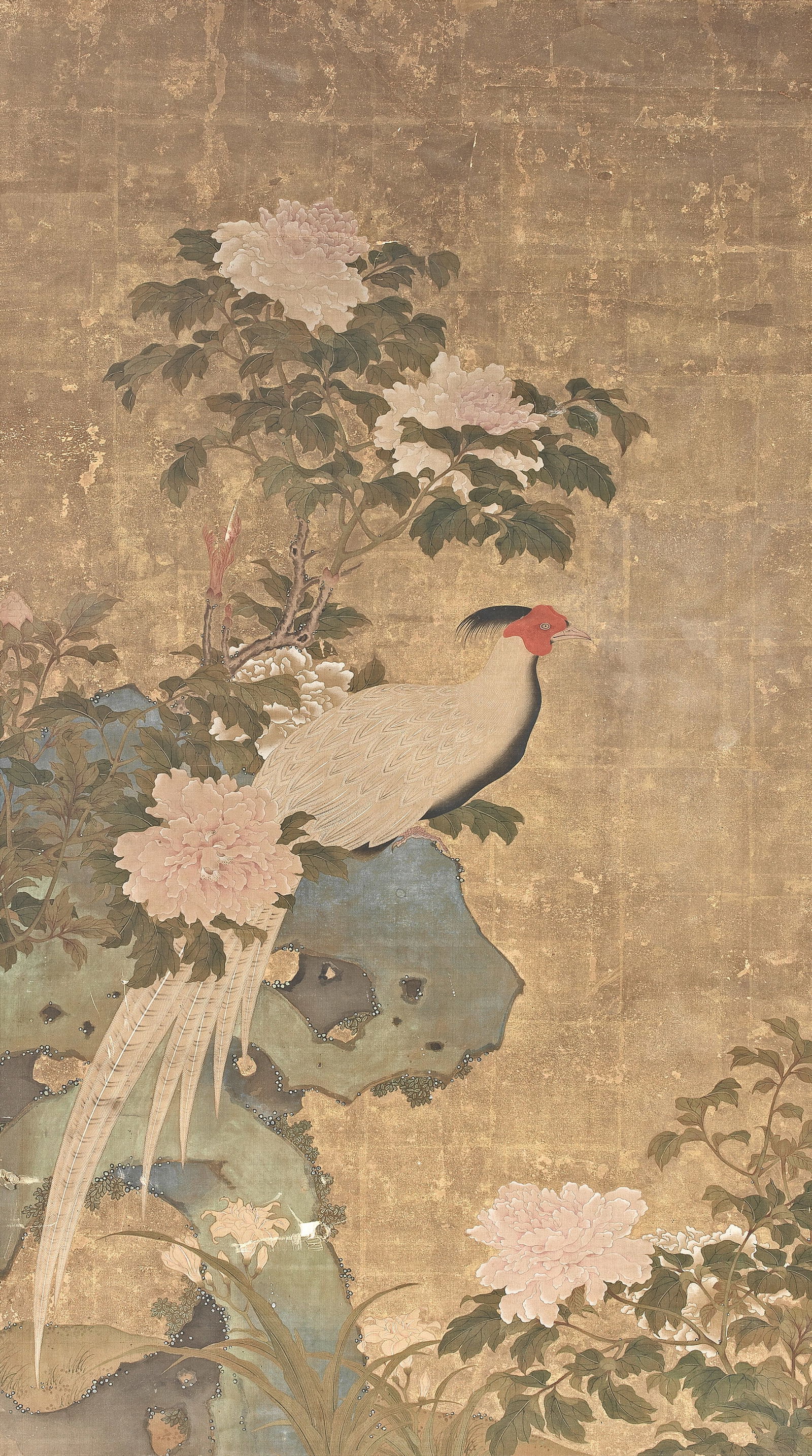 ANONYMOUS (17TH/18TH CENTURY) Pheasant and Peonies (1 of 1)