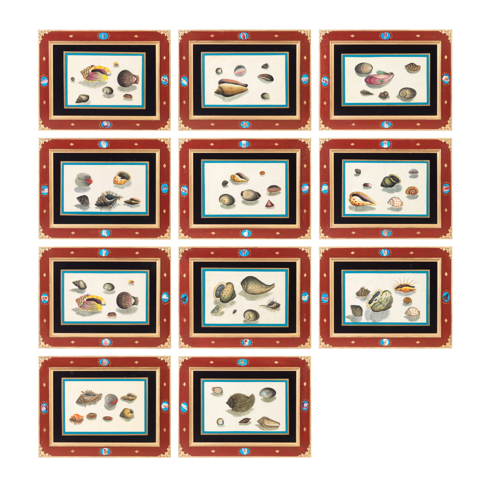CHINESE EXPORT SCHOOL (19TH CENTURY) Studies of Shells (11) (1 of 1)