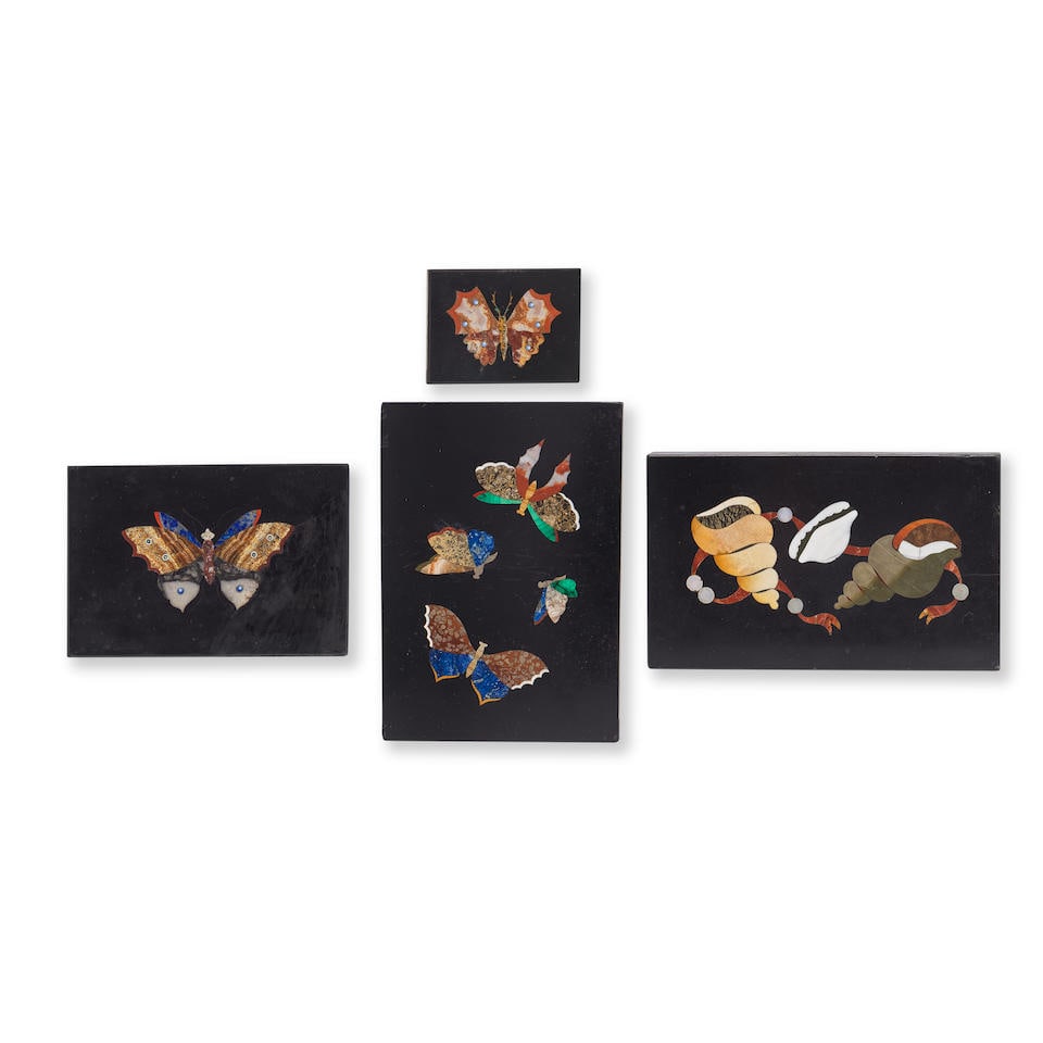 A collection of four Italian pietre dure panels depicting butterfly, moth and shell specimens  F... (1 of 1)