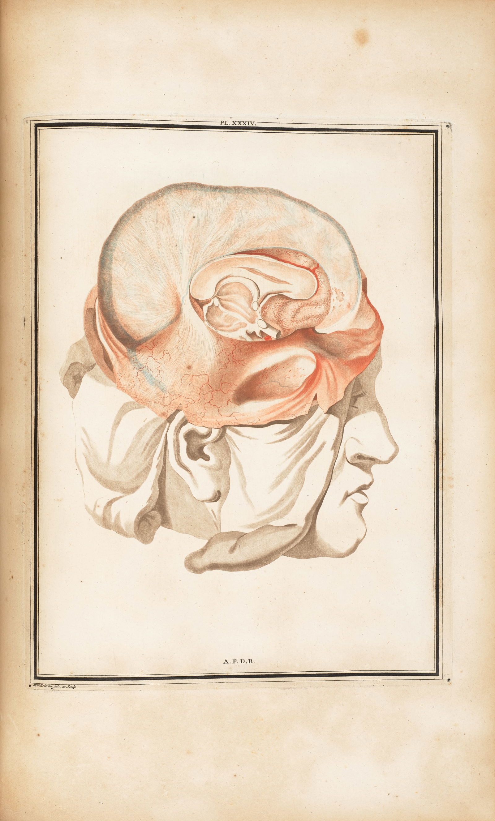 VICQ D'AZYR, FELIX. 1748-1794. Traite d'antomie et de physiologie. Paris: Didot l'aine, 1786. (1 of 1)