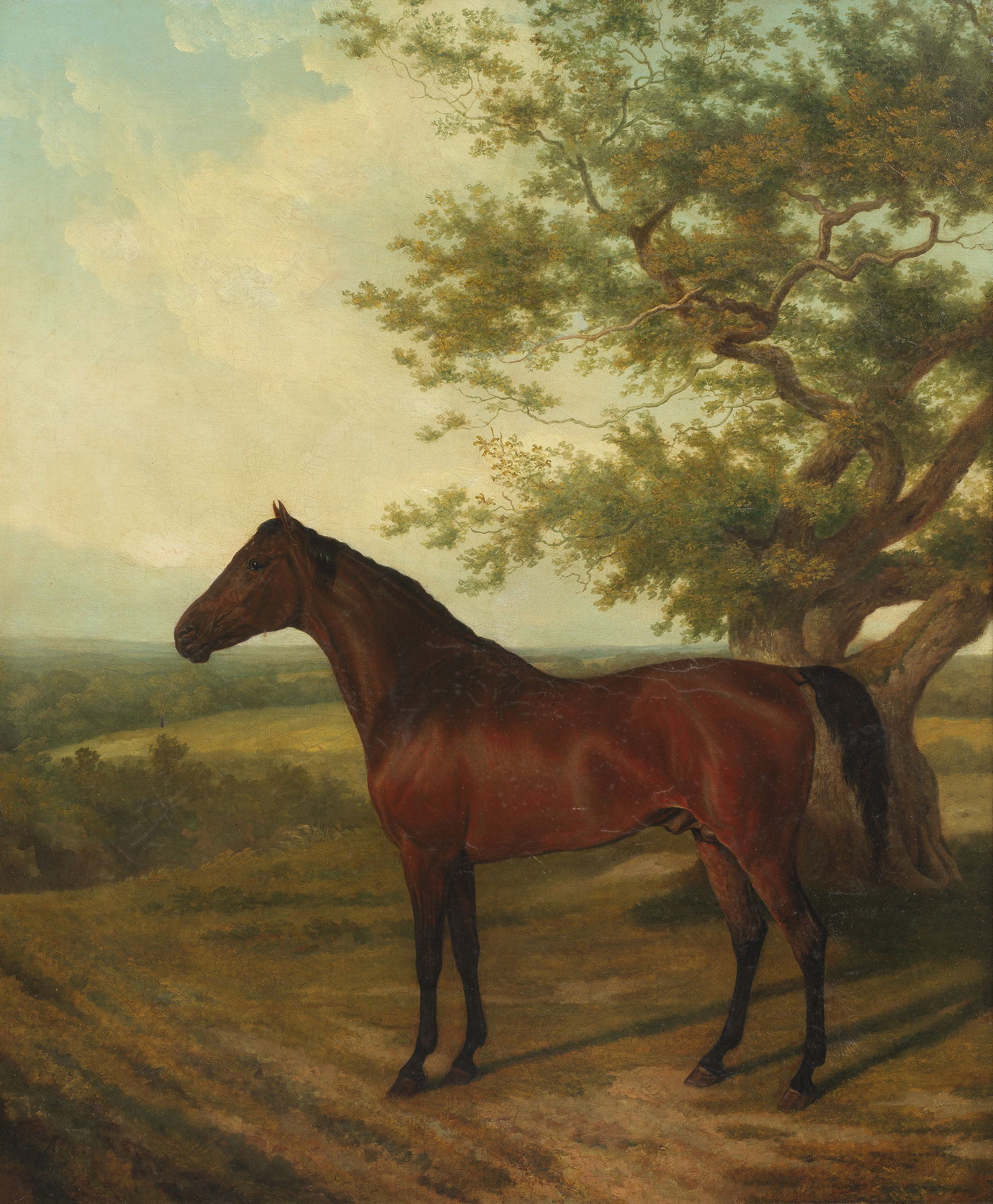 Jacques-Laurent Agasse (Geneva 1767-1849 London) A bay stallion from Lord Heathfield's stud in a...: Jacques-Laurent Agasse (Geneva 1767-1849 London) A bay stallion from Lord Heathfield's stud in a landscape signed with initials 'J.L.A.' (lower left) oil on canvas 76.1 x 63.8cm (29 15/16 x 25 1/8in).
