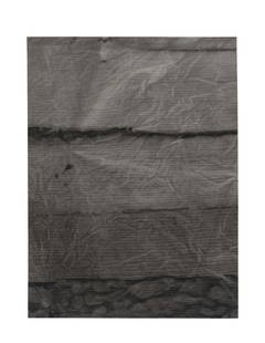 SAM MOYER (B. 1983) Untitled 2011: SAM MOYER (B. 1983) Untitled 2011 ink and bleach on canvas mounted to panel 48 by 35 7/8 in. 121.9 by 90.9 cm. This work was executed in 2011. Footnotes: Provenance: The artist The Journal Gallery, Ne