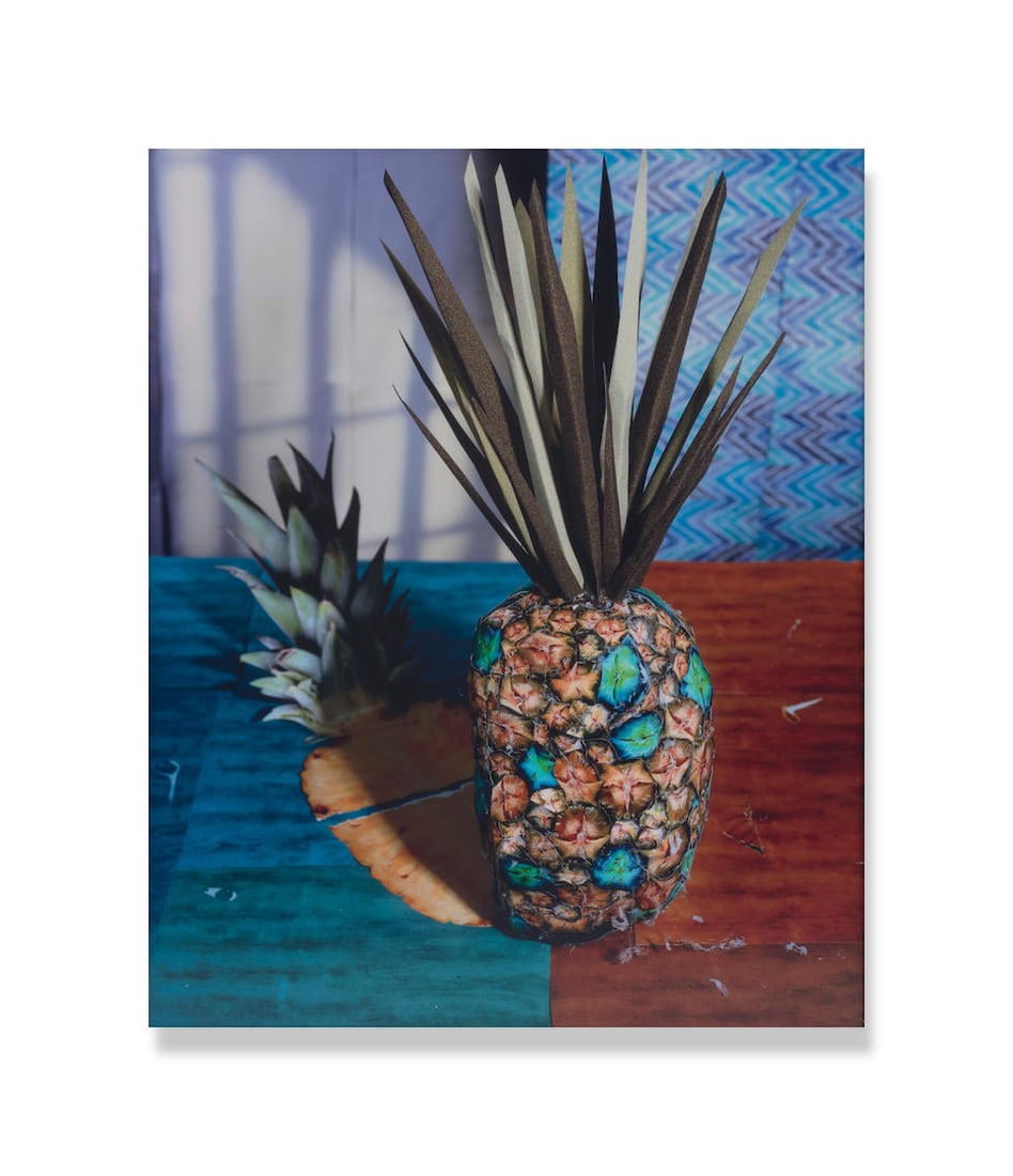 DANIEL GORDON (B. 1980) Pineapple and Shadow 2011: DANIEL GORDON (B. 1980) Pineapple and Shadow 2011 signed on label affixed to the reverse of the frame chromogenic print 30 by 24 in. 76.2 by 61 cm. This work was executed in 2011 and is number 1 from