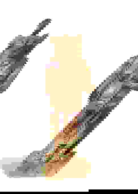 An Egyptian Inlaid Bichrome Faience Enthroned Bastet With Royal