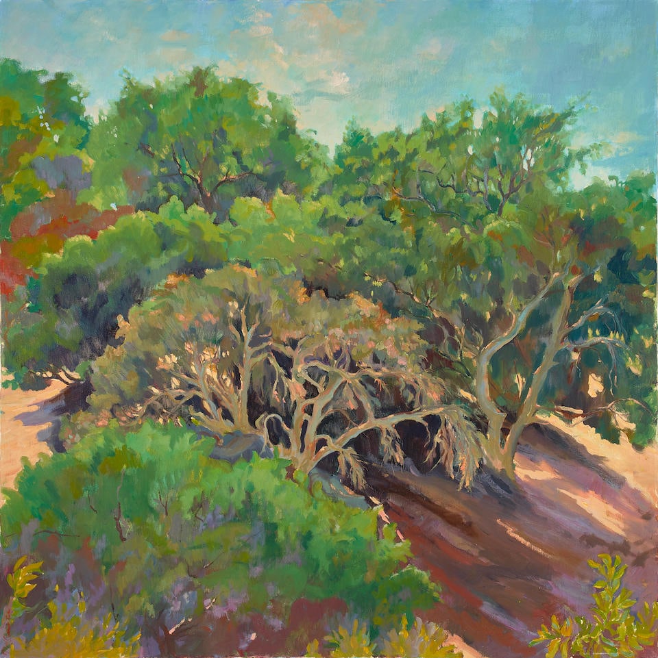 Maria Del Carmen Calvo (1937-2019) A Grove of Trees 40 x 40 in. unframed: Maria Del Carmen Calvo (1937-2019) A Grove of Trees signed 'M Del Carmen Calvo' (lower left) oil on canvas 40 x 40 in. unframed For further information on this lot please visit Bonhams.com For further