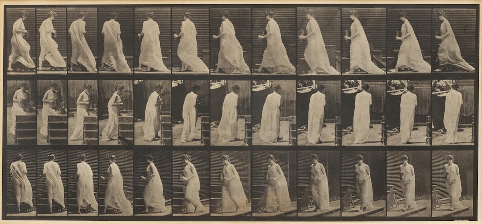 Eadweard Muybridge (1830-1904); Animal Locomotion (Plate 97); (1 of 2)