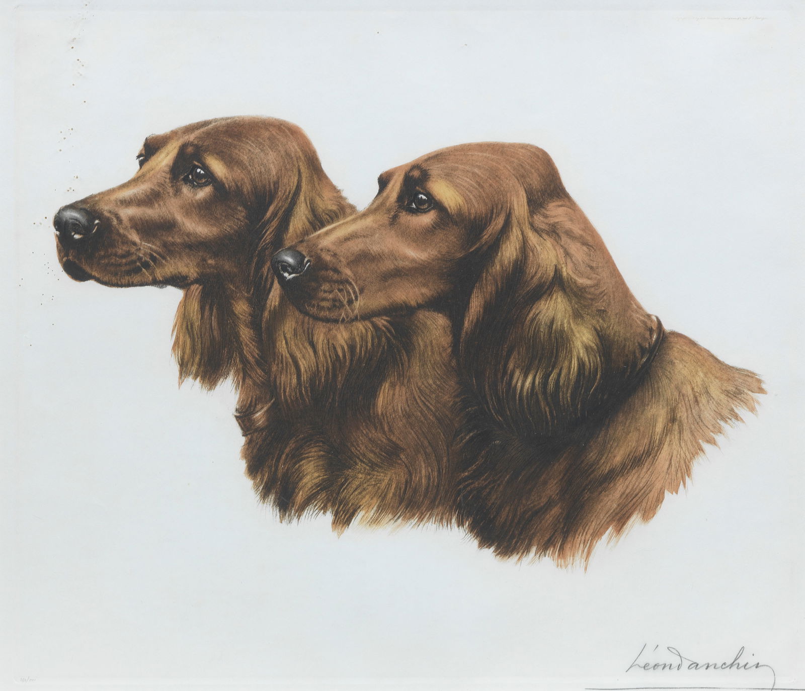 Léon Danchin (French, 1887-1938) A pair of Irish Setters plate 41 x 48cm (16 1/8 x 18 7/8in...: Léon Danchin (French, 1887-1938) A pair of Irish Setters signed in pencil 'Léon Danchin' (lower right), editoned in pencil '262/500' (lower left) lithograph plate 41 x 48cm (16 1/8 x 18 7/8i