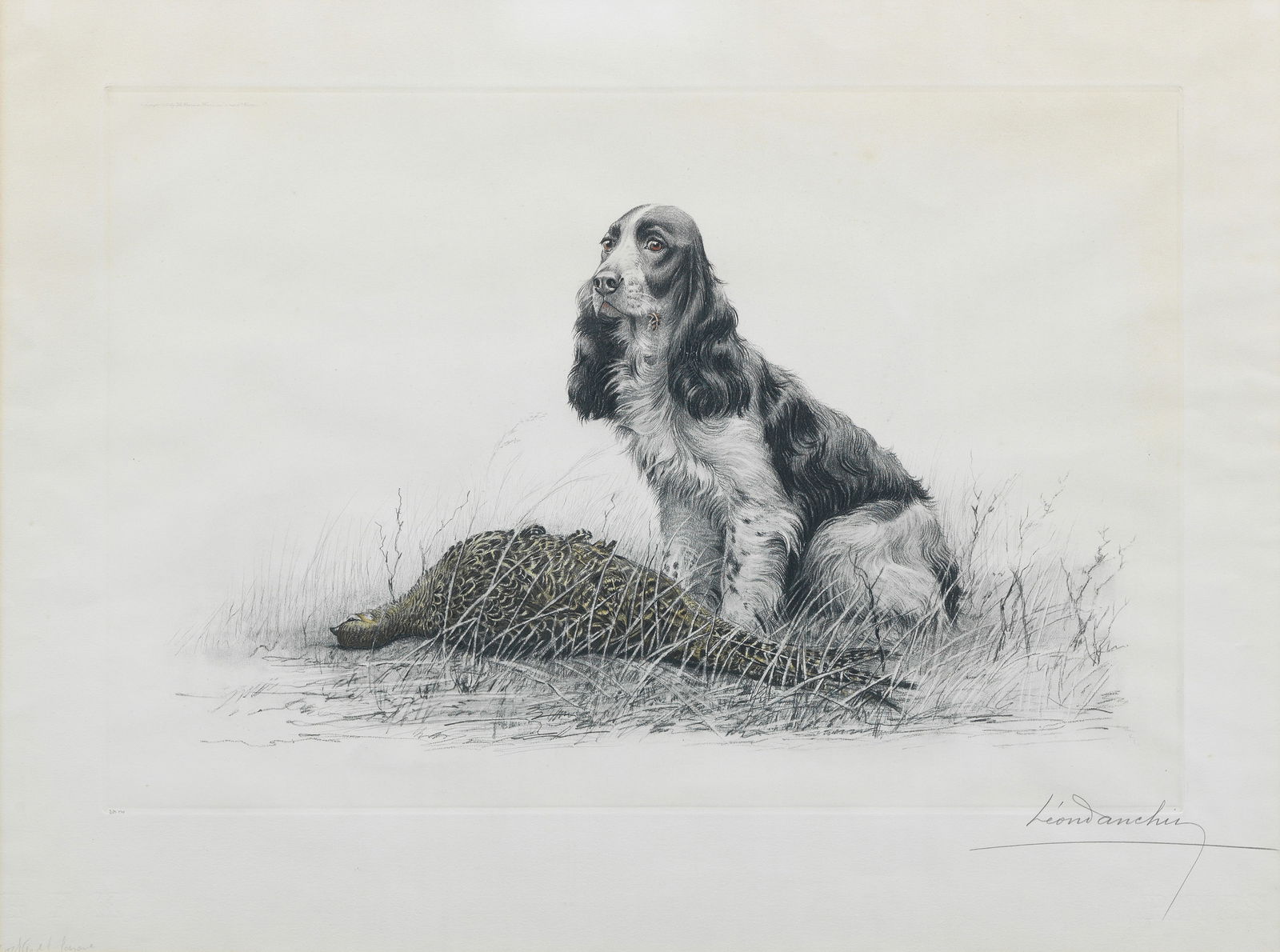 Léon Danchin (French, 1887-1938) A Cocker Spaniel with hen pheasant plate 41.5 x 61cm (16 5...: Léon Danchin (French, 1887-1938) A Cocker Spaniel with hen pheasant signed in pencil 'Léon Danchin' (lower right), editioned in pencil '215/500' (lower left) etching plate 41.5 x 61cm (16 5/