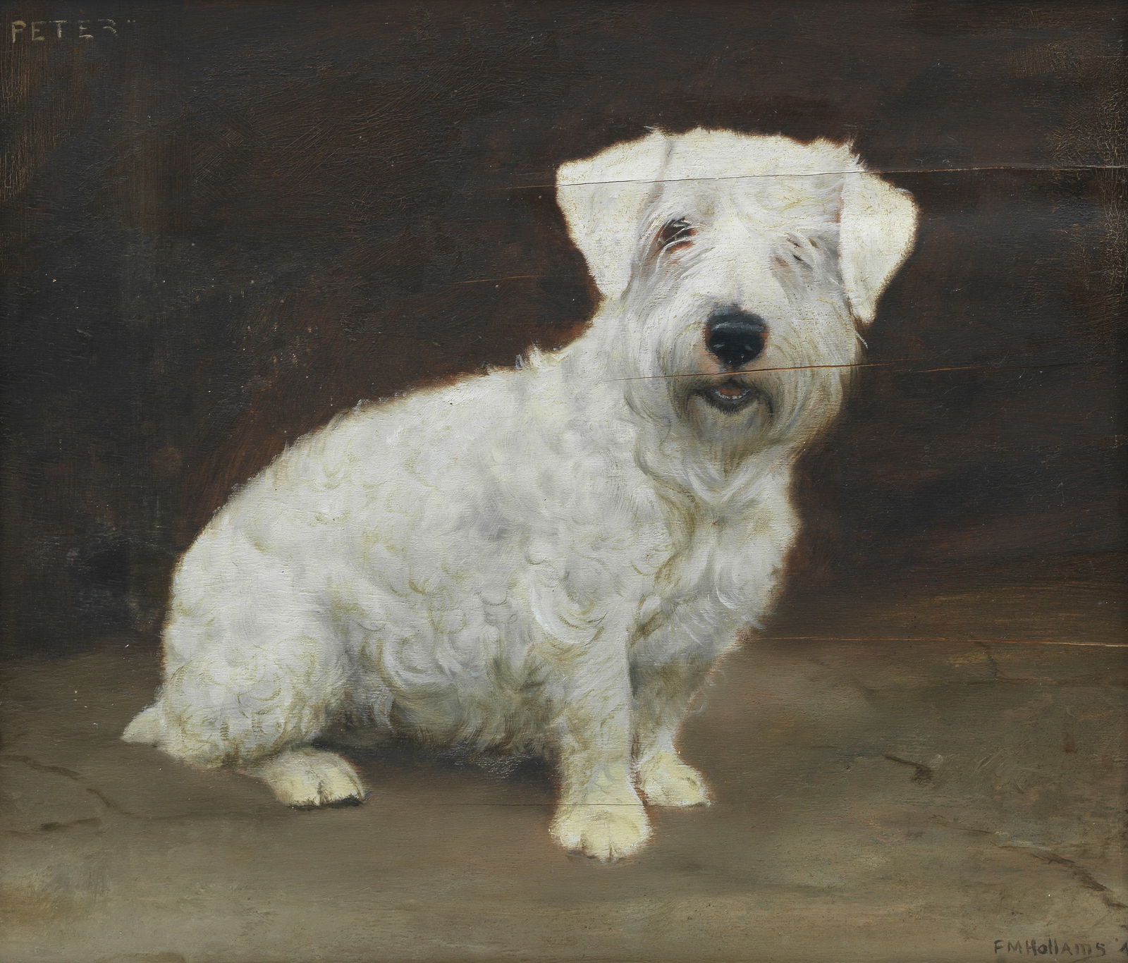 Frances Mabel Hollams (British, 1877-1963) 'Peter' - Sealyham Terrier (1 of 1)