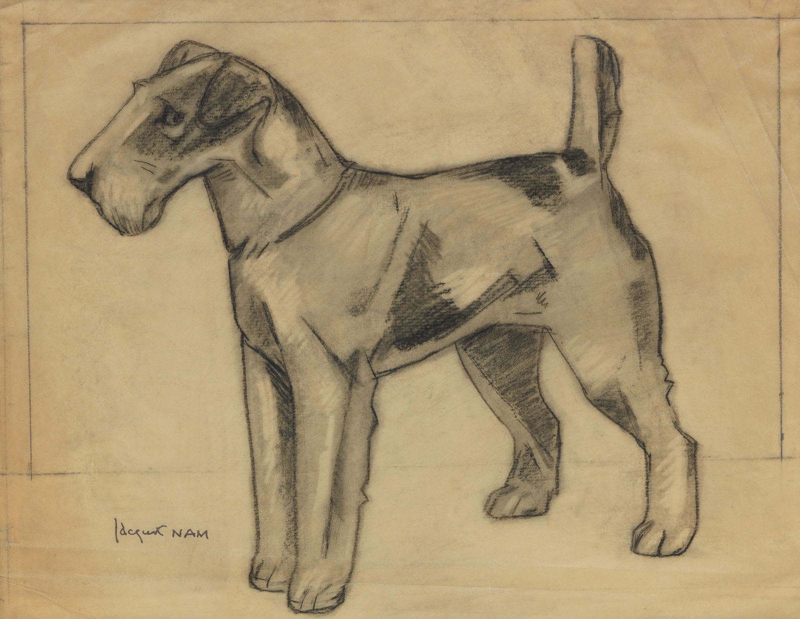 Jacques (Lehmann) Nam (French, 1881-1974) A study of a Wire-haired Fox Terrier (mounted but unfr... (1 of 1)
