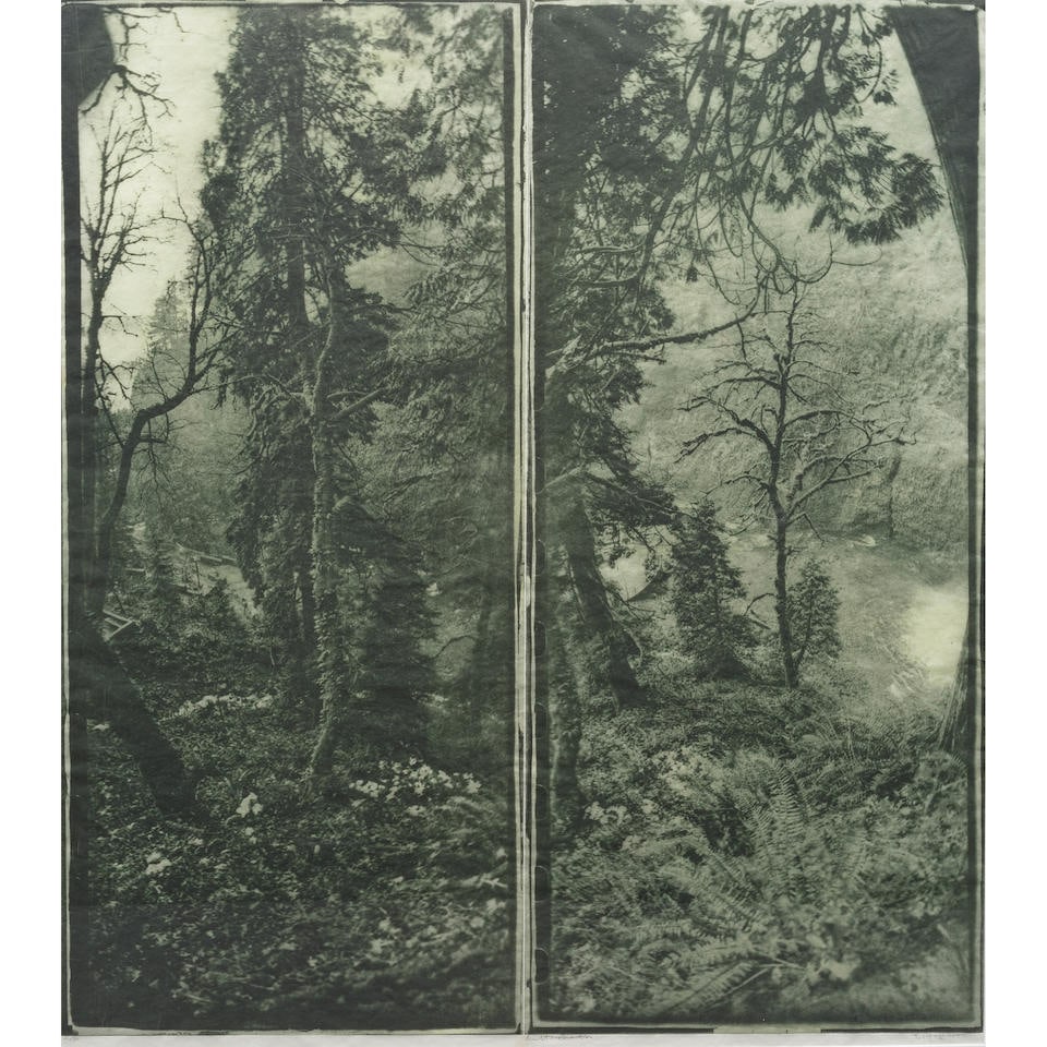 Judy Pfaff (born 1946); Multnomah; (1 of 1)