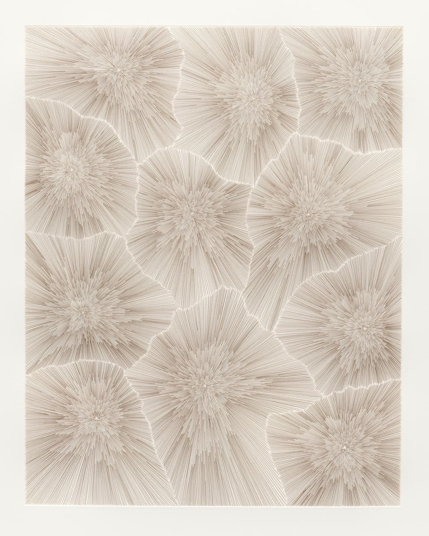 James Siena (born 1957); Upside Down Devil Variation; (1 of 1)