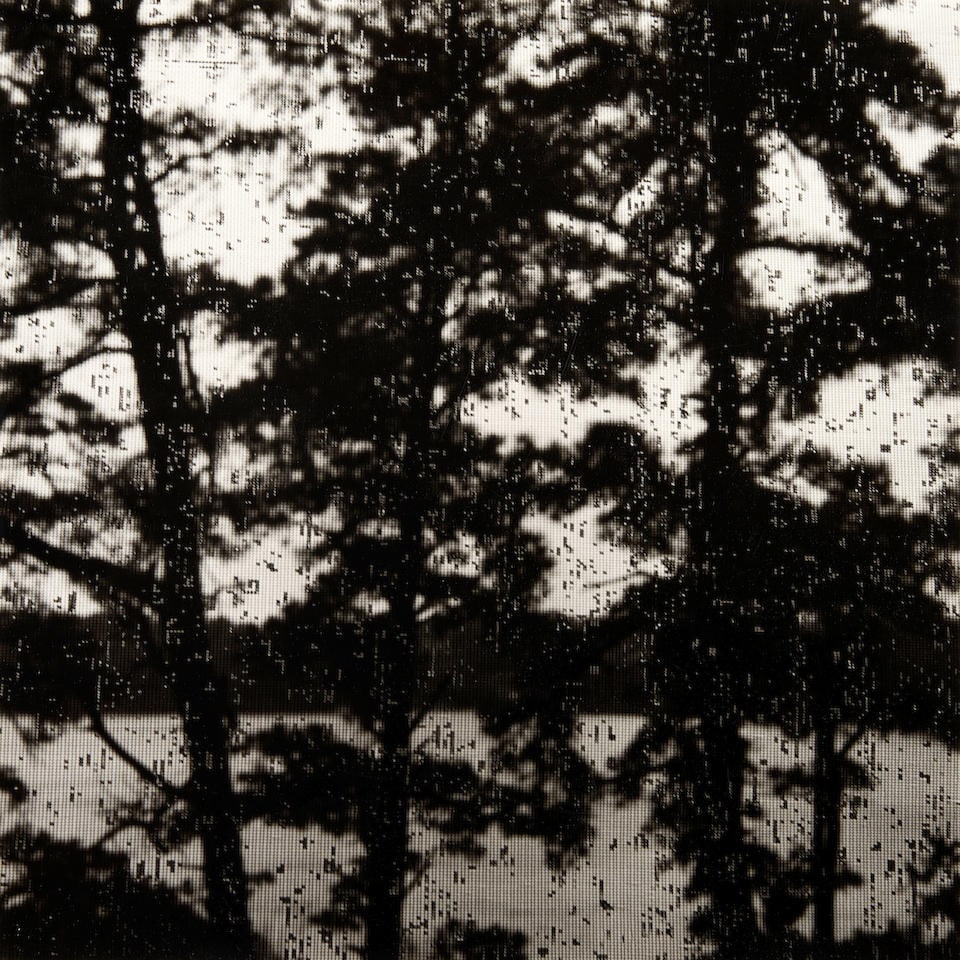 Gyorgy Kepes (1906-2001); Untitled, Wellfleet, Massachusetts; (1 of 1)