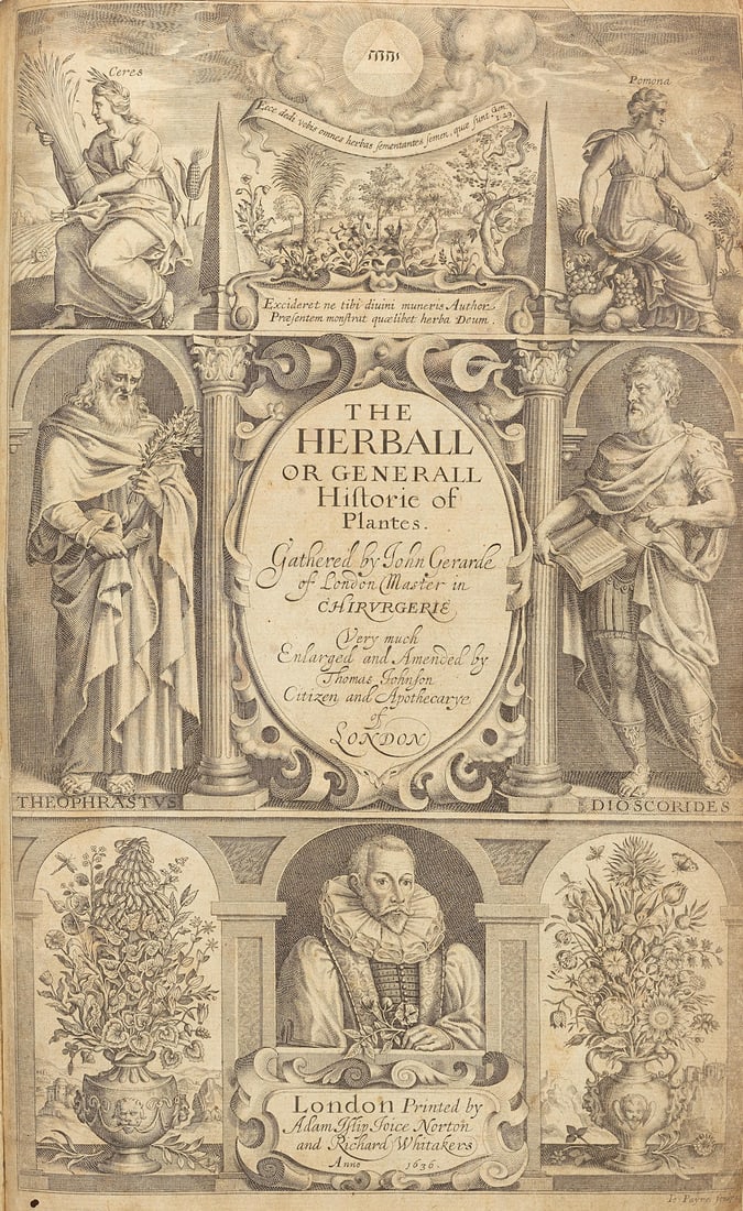 GERARD (JOHN) The Herball or Generall Historie of Plantes... Very Much Amended by Thomas Johnson...: GERARD (JOHN) The Herball or Generall Historie of Plantes... Very Much Amended by Thomas Johnson, second edition, engraved pictorial title incorporating a portrait of the author, upwards of 2800 wood