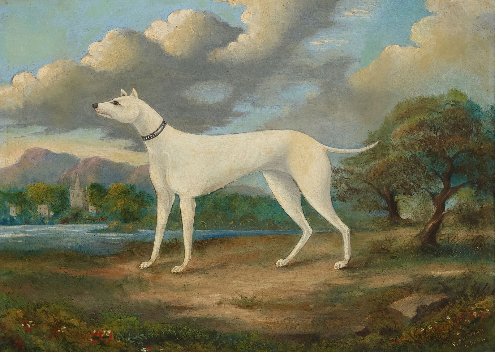 British School (19th Century) Portrait of a White Greyhound 14 1/4 x 20 in. (36.8 x 50.8 cm) (1 of 3)