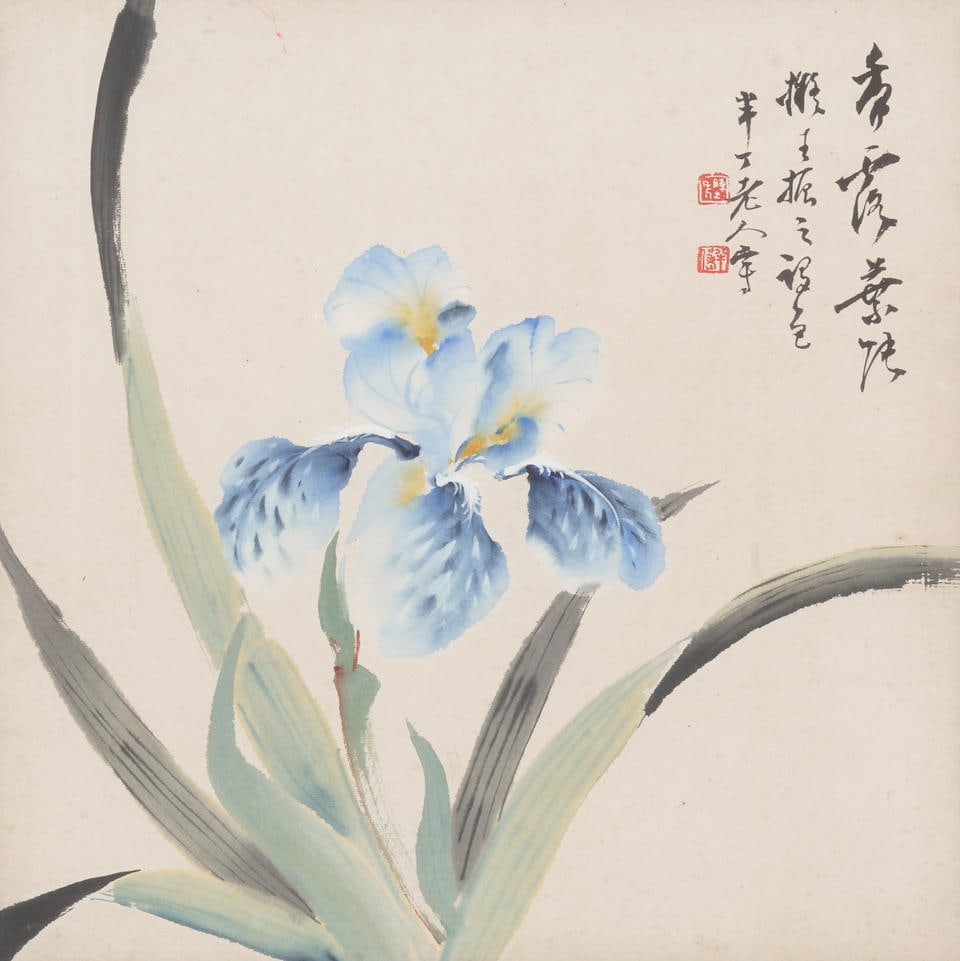 CHEN BANDING (1876-1970) Iris: CHEN BANDING (1876-1970) Iris Ink and color on paper, framed and glazed, inscribed and signed Banding Laoren, with two artist's seals. 12 7/8 x 12 5/8in (32.5 x 32cm) Footnotes: 陳半ߌ