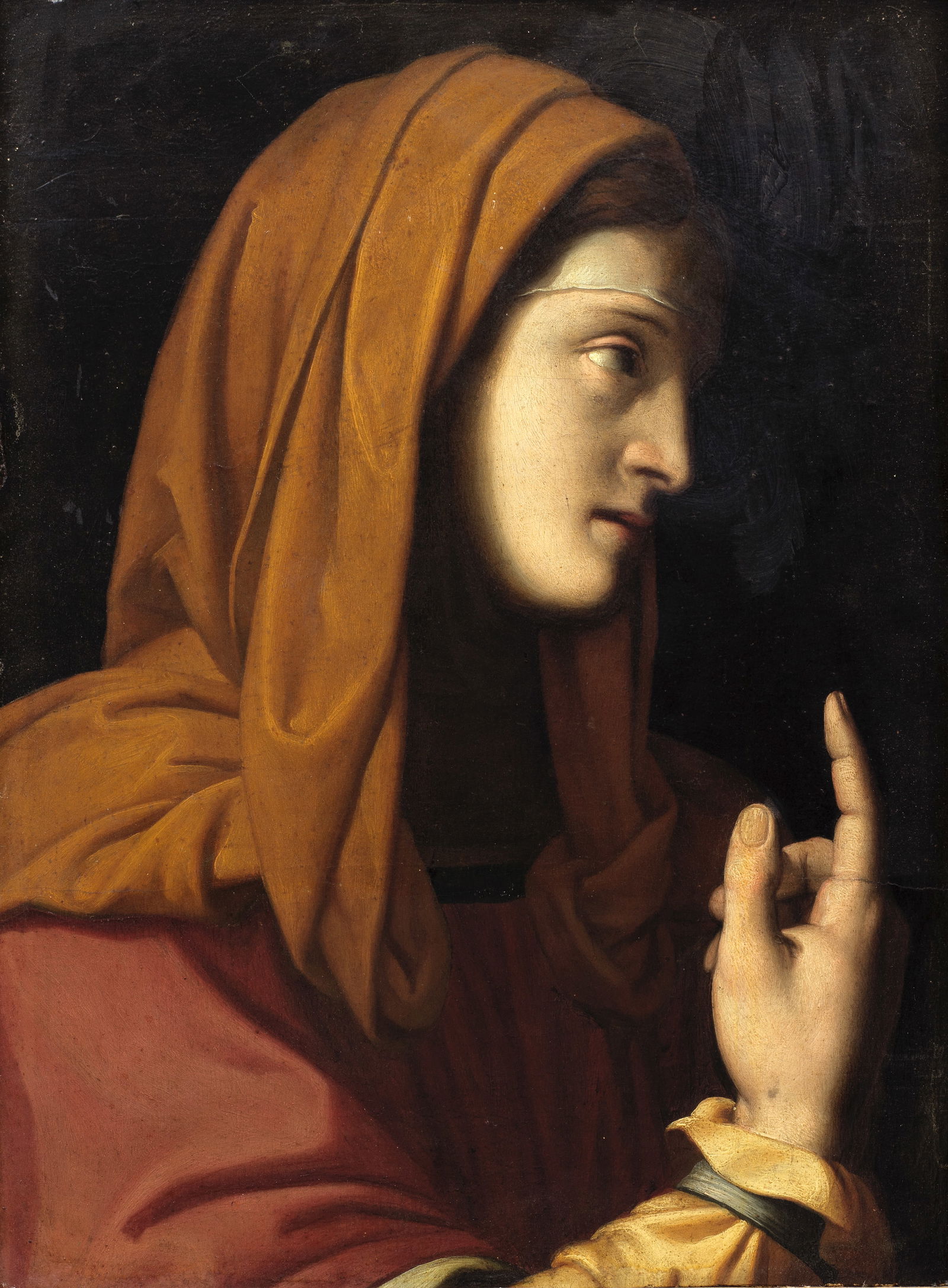 Workshop of Bernardino Luini (Luino(?) 1475-1532 Milan) Saint Martha: Workshop of Bernardino Luini (Luino(?) 1475-1532 Milan) Saint Martha oil on panel 45.5 x 33.6cm (17 15/16 x 13 1/4in). Footnotes: Provenance The Collection of Nobile Signore Niccolo G