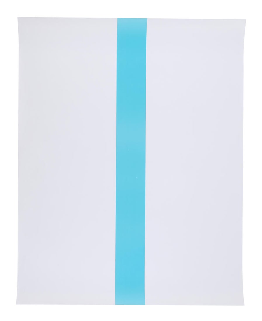 Felix Gonzalez-Torres (1957-1996); Untitled (GF1990-002); (1 of 3)