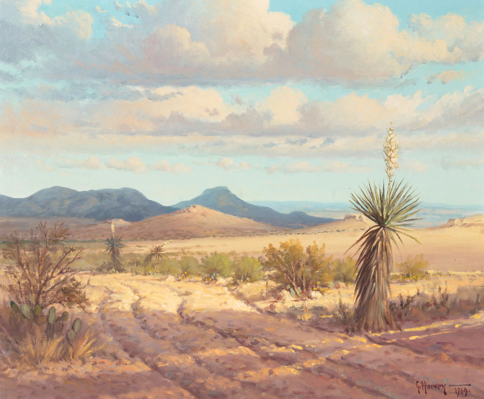 G. (Gerald Harvey Jones) Harvey (1933-2017) Shadow on Dove Mountain 20 x 24 in. framed 28 x 32 in. (1 of 1)