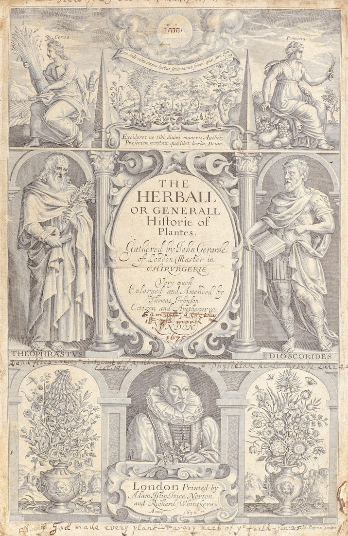 GERARD (JOHN) The Herball or Generall Historie of Plantes... Very Much Amended by Thomas Johnson...: GERARD (JOHN) The Herball or Generall Historie of Plantes... Very Much Amended by Thomas Johnson, second edition, engraved pictorial title incorporating a portrait of the author, upwards of 2800 wood
