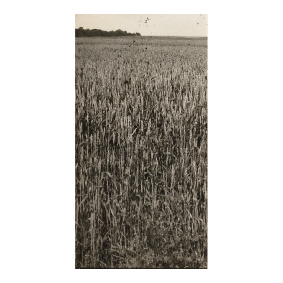 Man Ray (1890-1976); Untitled (Field);: Man Ray (1890-1976) Untitled (Field), c. 1935 Gelatin silver print; signed, dated, and annotated 'Best Wishes for 1935' in ink and a partial studio stamp (Manford M6) on the reverse, framed. 6 7/8 x 3