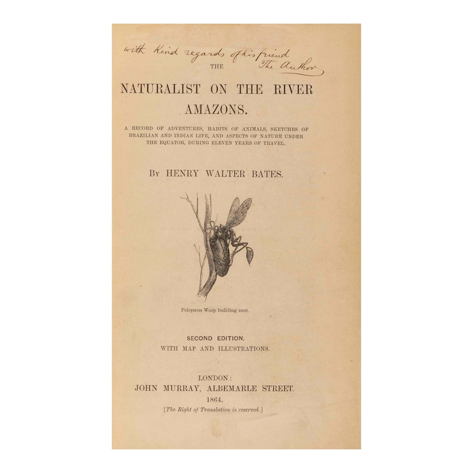 RARE PRESENTATION COPY OF BATES'S CLASSIC. BATES, HENRY WALTER. 1825-1892. The Naturalist on the...: RARE PRESENTATION COPY OF BATES'S CLASSIC. BATES, HENRY WALTER. 1825-1892. The Naturalist on the Amazons. London: John Murray, 1864. 8vo. Engraved frontispiece, 8 full-page engraved plates, illustrati
