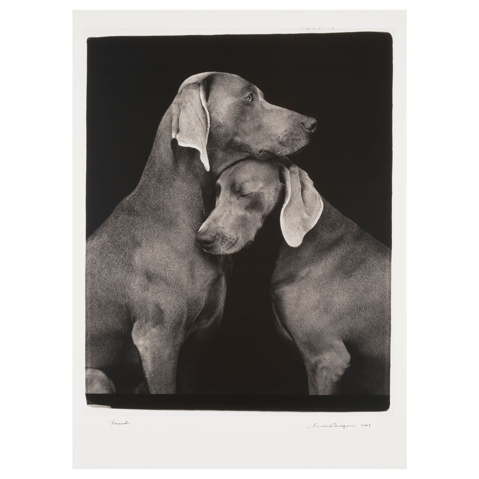 William Wegman (born 1943); Friends; (1 of 1)