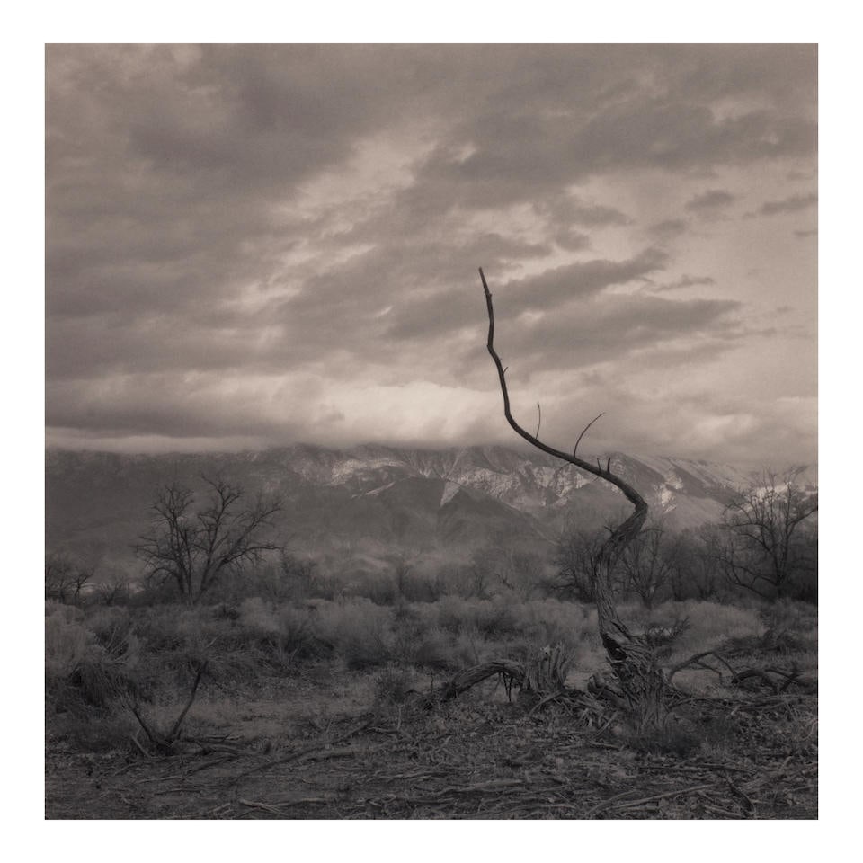 Mark Citret (born 1949); 'Snag, Manzanar';: Mark Citret (born 1949) 'Snag, Manzanar', 2004 Gelatin silver print; signed, titled, dated, and editioned '4/45' in pencil in the margin, the photographer's credit stamp, titled, dated, and editi
