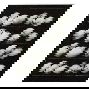 Olivia Parker (born 1941); Selected Images (comprising 'Mixed Nuts', 'Moon Snails', 'Orchid', an...: Olivia Parker (born 1941) Selected Images (comprising 'Mixed Nuts', 'Moon Snails', 'Orchid', and 'Cut Orchids'), 1975-80 Four selenium-toned silver chloride prints, printed between 1978-81; each signe