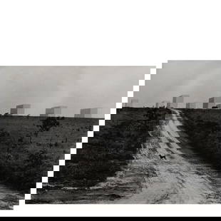 Elliott Erwitt (1928-2023); 'Brasilia' (Dog and Road);: Elliott Erwitt (1928-2023) 'Brasilia' (Dog and Road), 1961 Gelatin silver print, printed later; signed in ink in the margin, signed, titled, and dated in pencil on the reverse, framed, a Boca Raton Mu