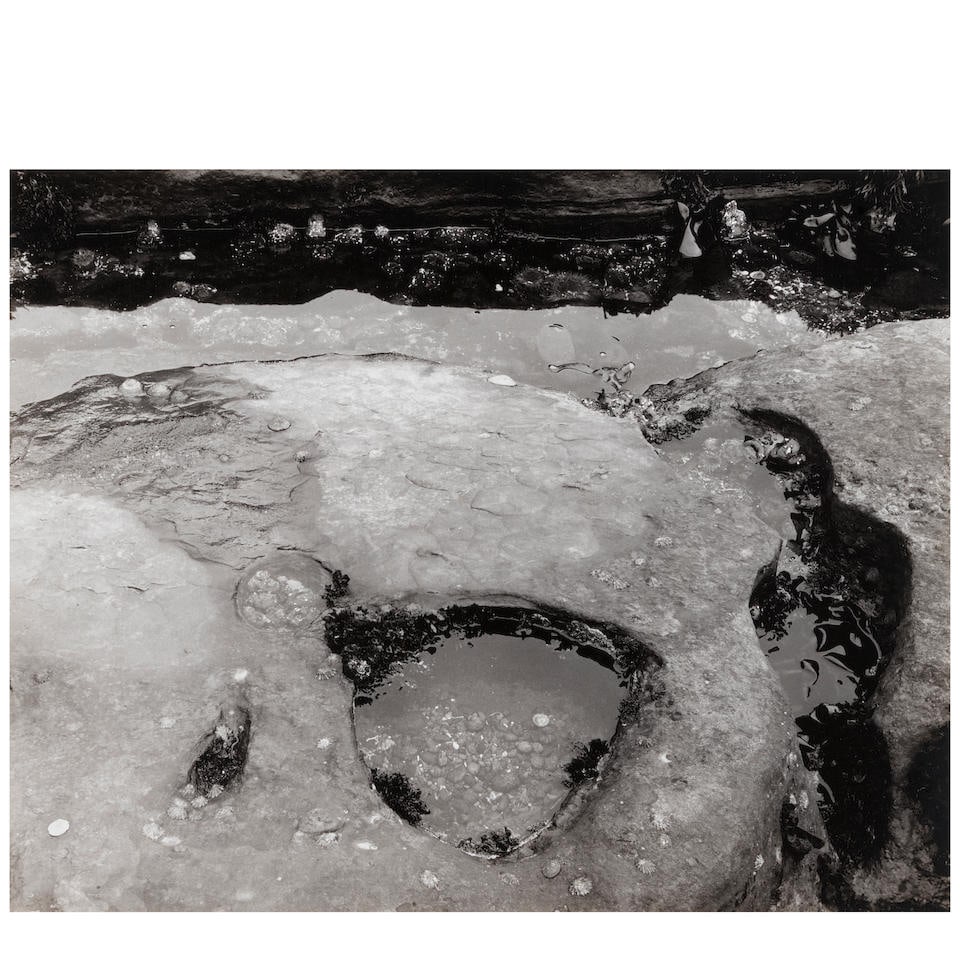 Minor White (1908-1976); Pebble Beach, Point Lobos State Park, California, August 16, 1951;: Minor White (1908-1976) Pebble Beach, Point Lobos State Park, California, August 16, 1951, 1951 Gelatin silver print; mounted, signed in pencil on the mount, framed. 7 x 8 7/8 in. (17.8 x 22.5 cm.) mo