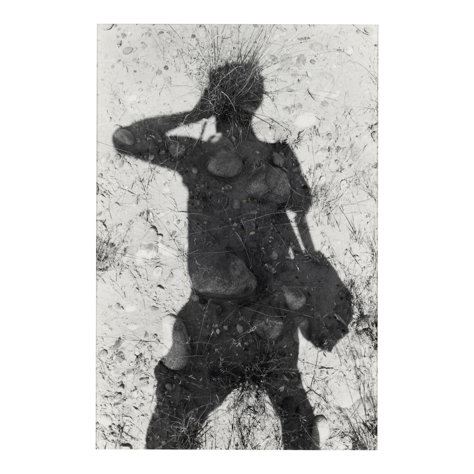 Lee Friedlander (born 1934); 'Canyon de Chelly';: Lee Friedlander (born 1934) 'Canyon de Chelly', 1983 Gelatin silver print; signed, titled, and dated in pencil and the photographer's '44 So. Mountain Road' credit and copyright stamps, the latter dat