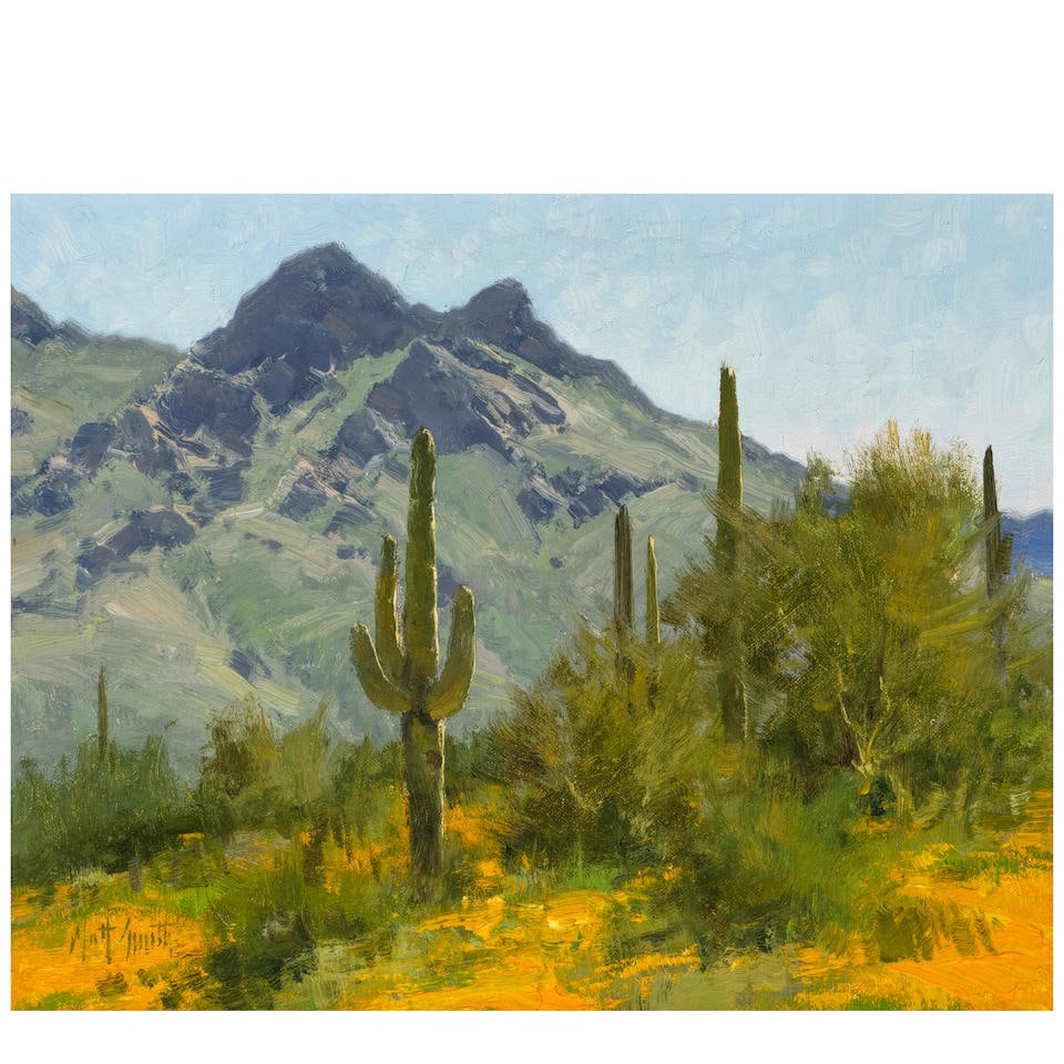 Matt Smith (born 1960) Cougar Mountain 11 x 14 in. (Painted in 2001.): Matt Smith (born 1960) Cougar Mountain signed 'Matt Smith' (lower left) and signed again, dated, titled and inscribed 'March 17, McDowell Mountains, Arizona' (on the reverse) oil on canvas affixed to