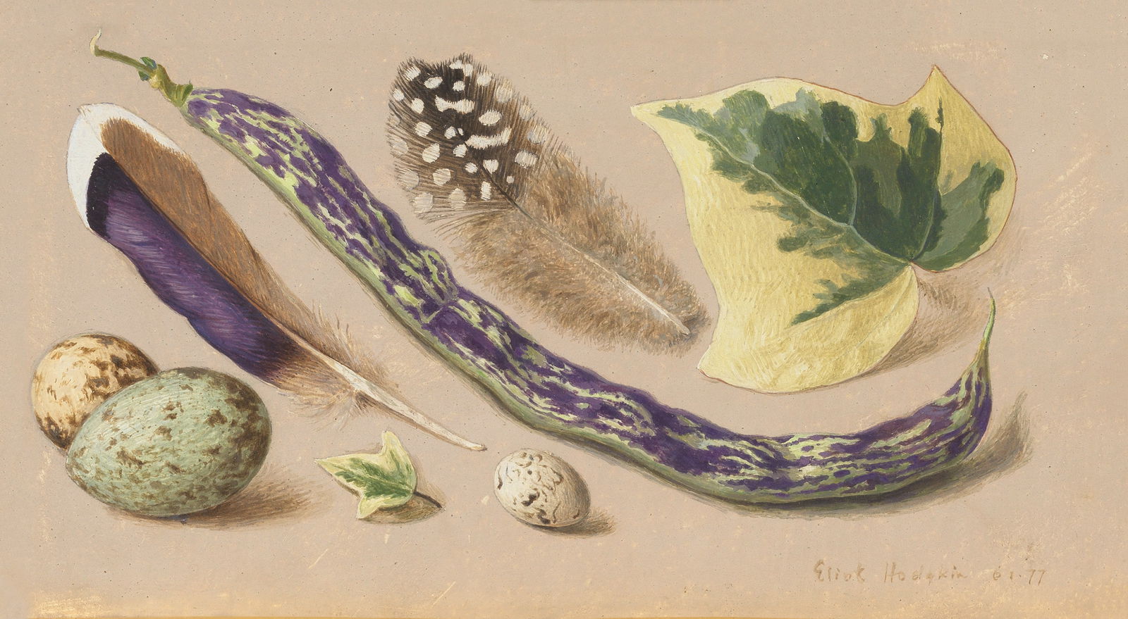 Eliot Hodgkin (British, 1905-1987) Pied Beauty 18.7 x 28.2 cm. (7 3/8 x 11 1/8 in.): Eliot Hodgkin (British, 1905-1987) Pied Beauty signed and dated 'Eliot Hodgkin 61.77' (lower right) tempera on board 18.7 x 28.2 cm. (7 3/8 x 11 1/8 in.) Footnotes: Provenance With Hazlitt, Gooden & F