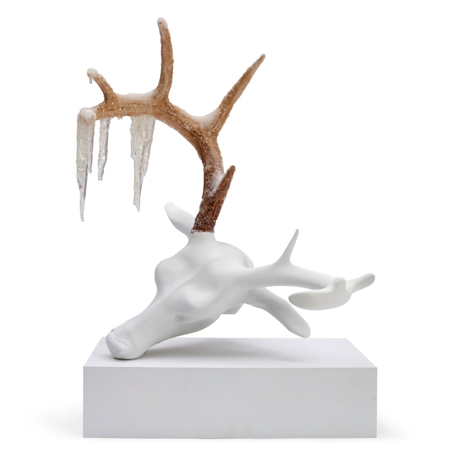 ERIC SWENSON (American, born 1972) Untitled (Ice Head) (1 of 1)