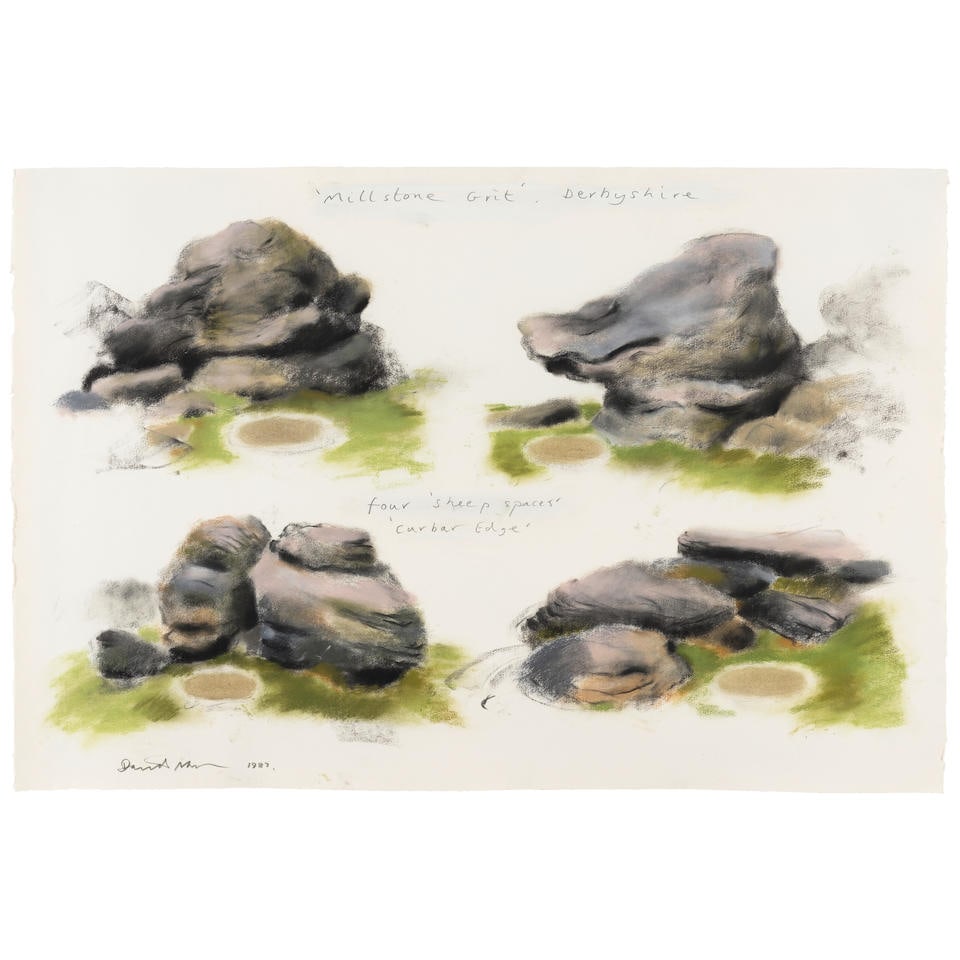 DAVID NASH (B. 1945) Millstone Grit, Derbyshire 31 5/8 x 47 1/8 in (80.2 x 119.7 cm) (Executed i...: DAVID NASH (B. 1945) Millstone Grit, Derbyshire signed and dated 'David Nash 1987' (lower left); inscribed 'DN219' (verso) pastel, charcoal and graphite on paper 31 5/8 x 47 1/8 in (80.2 x 119.7 cm) E