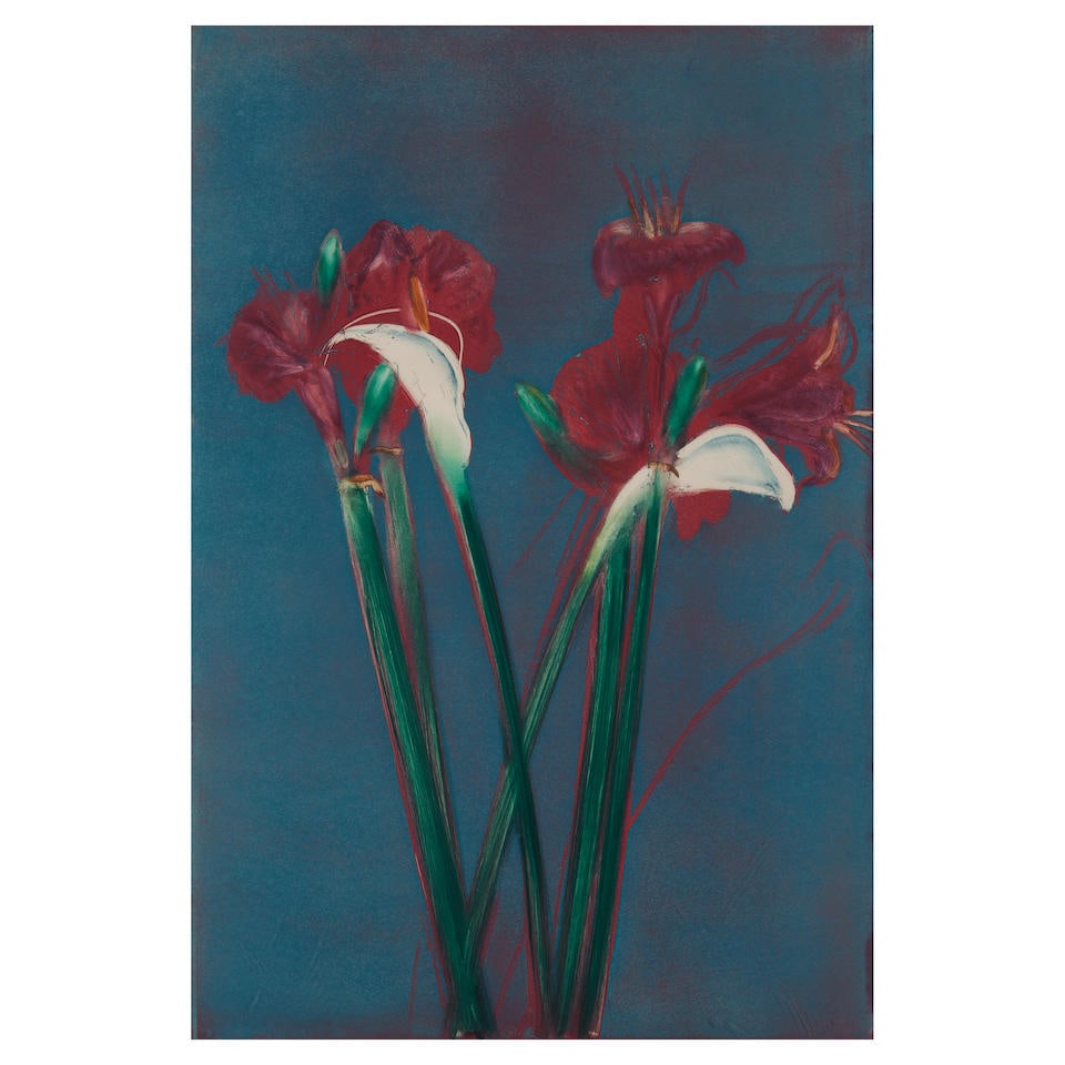 Michael Mazur (1935-2009) Amaryllis/Calla I: Michael Mazur (1935-2009) Amaryllis/Calla I titled, numbered, dated, and signed 'Amaryllis/Calla I / 2/20 / 1982 / Mazur' (in pencil along the lower edge) monoprint with etching, aquatint, and monotyp
