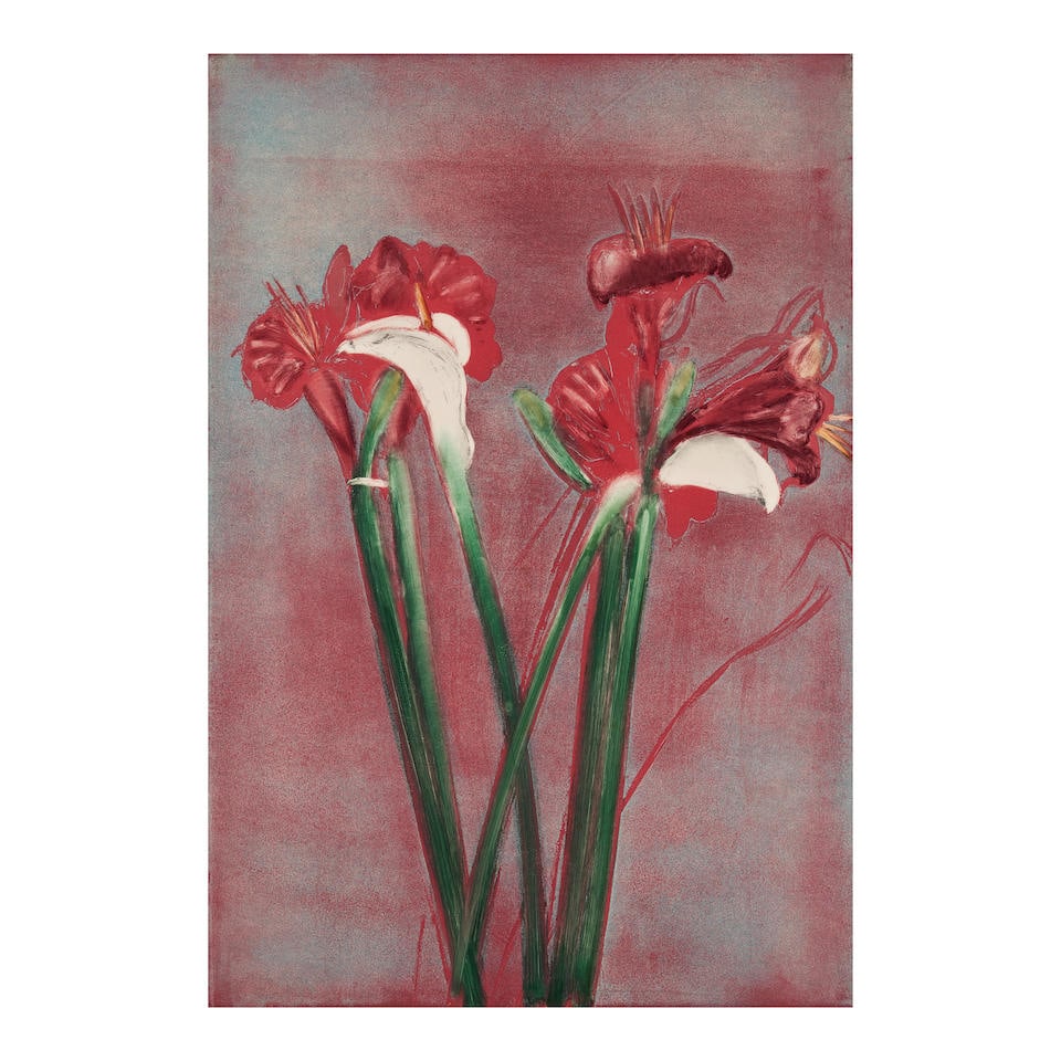Michael Mazur (1935-2009) Amaryllis/Calla II: Michael Mazur (1935-2009) Amaryllis/Calla II titled, numbered, dated, and signed 'Amaryllis/Calla II / 2/20 / 1982 / Mazur' (in pencil along the lower edge) monoprint with etching, aquatint and monoty