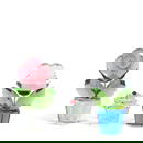 TWO SWAROVSKI CRYSTAL 'HAPPY FLOWERS' FIGURES2002-2012